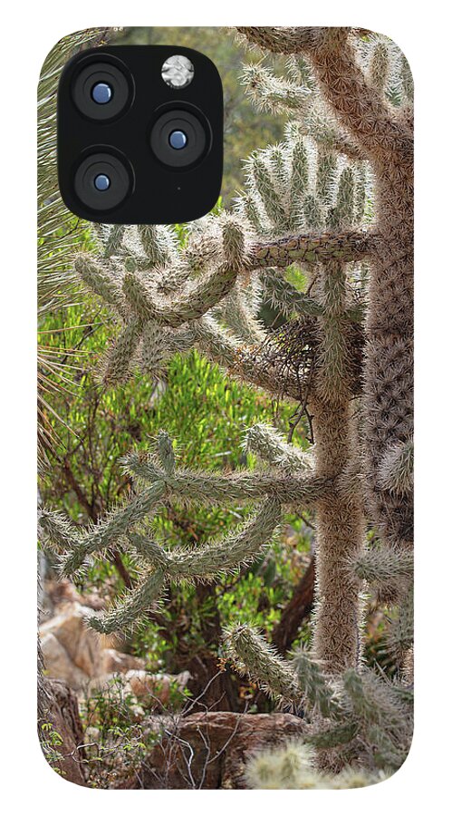 Cacti II - Phone Case
