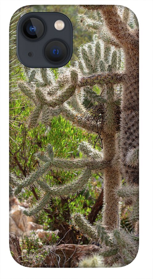 Cacti II - Phone Case