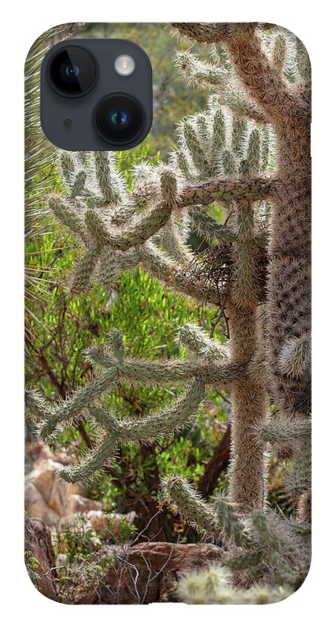 Cacti II - Phone Case