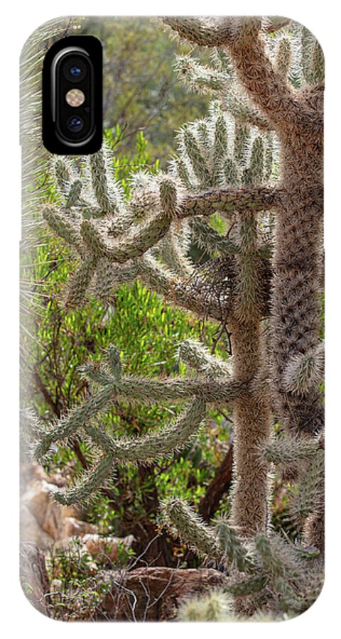 Cacti II - Phone Case