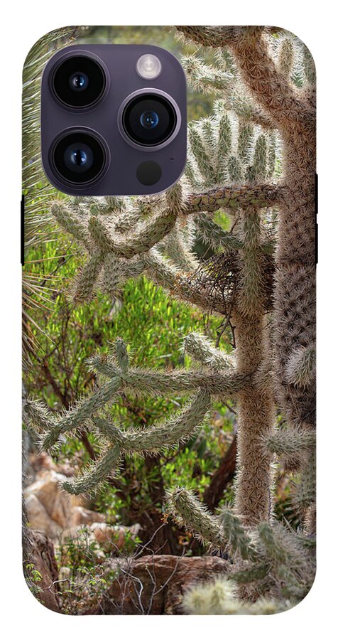 Cacti II - Phone Case