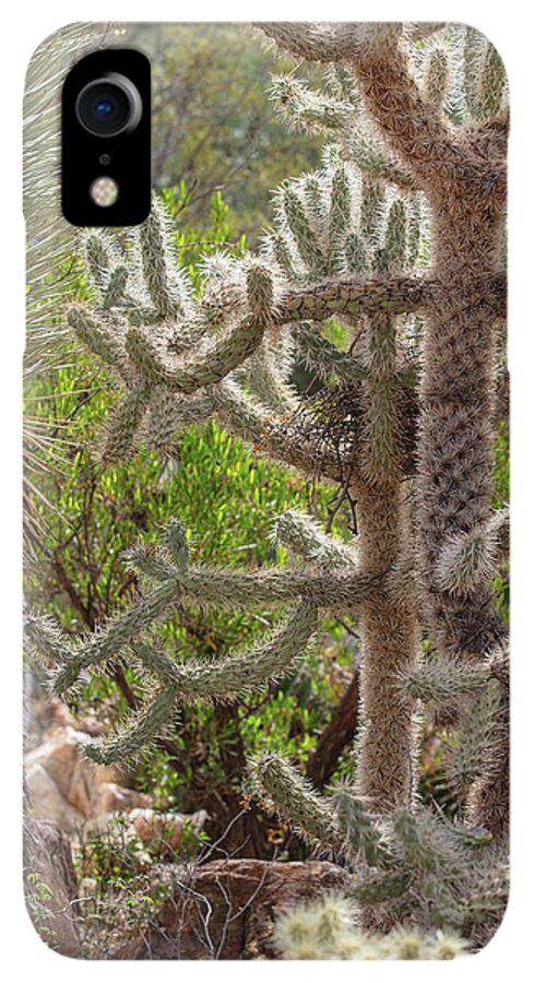 Cacti II - Phone Case