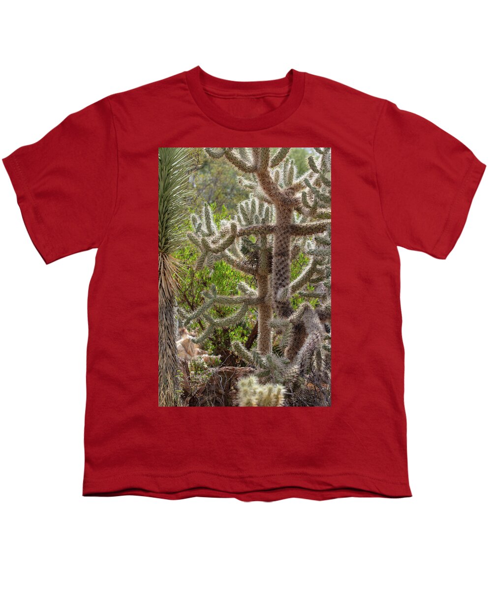 Cacti II - Youth T-Shirt