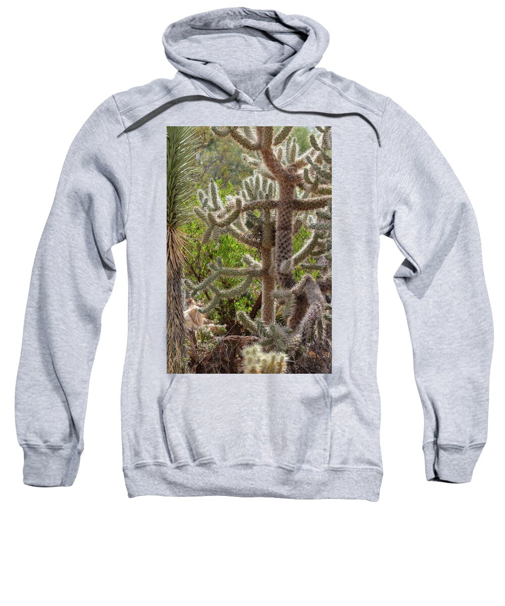 Cacti II - Sweatshirt
