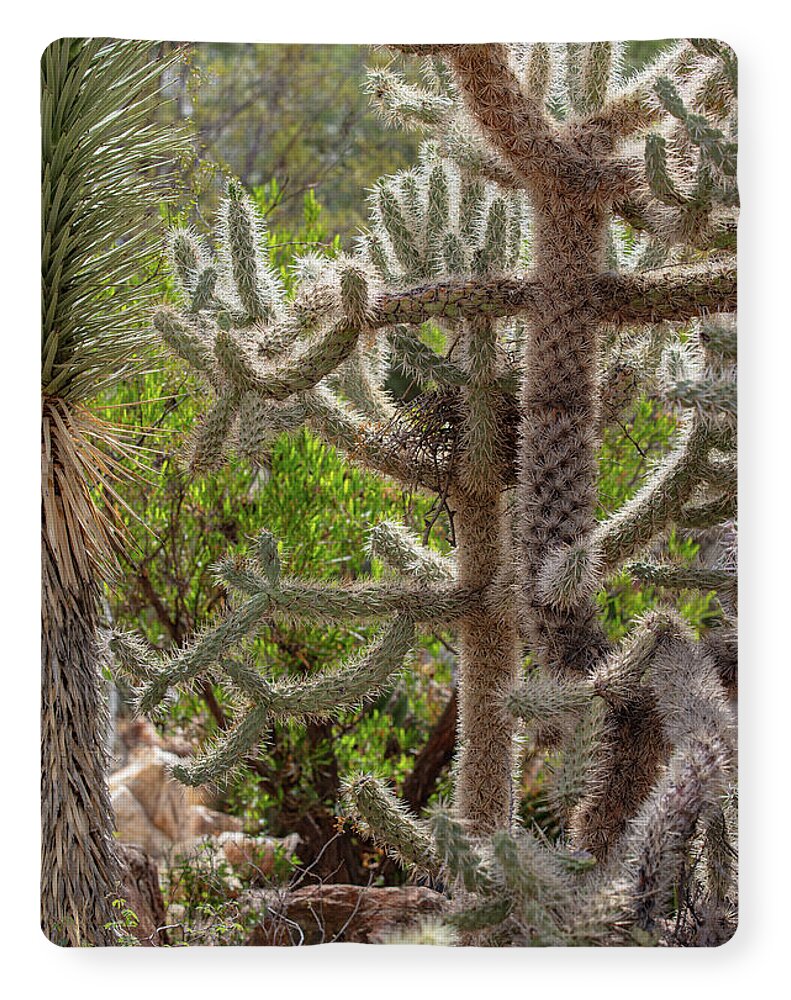 Cacti II - Blanket