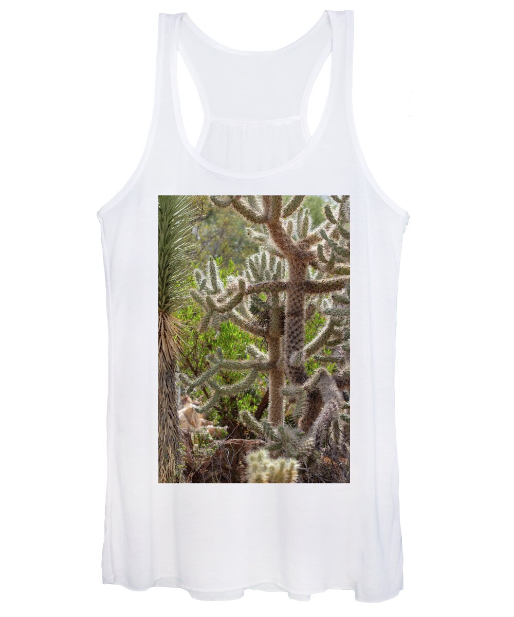 Cacti II - Women's Tank Top