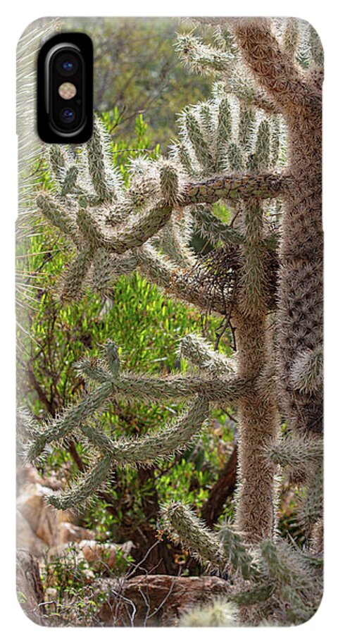 Cacti II - Phone Case