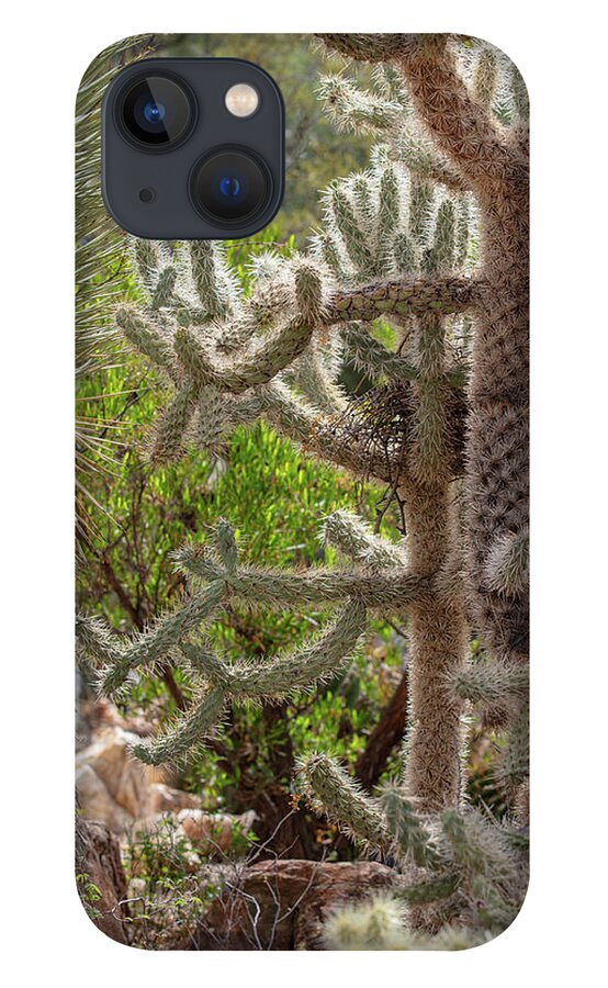 Cacti II - Phone Case
