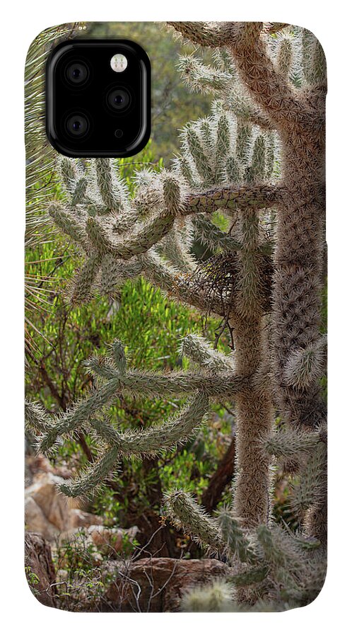 Cacti II - Phone Case