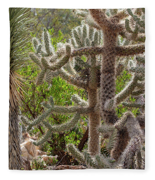 Cacti II - Blanket