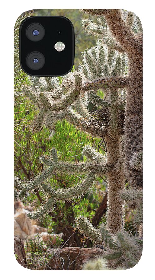 Cacti II - Phone Case