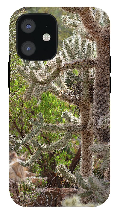 Cacti II - Phone Case