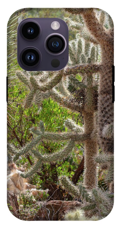 Cacti II - Phone Case