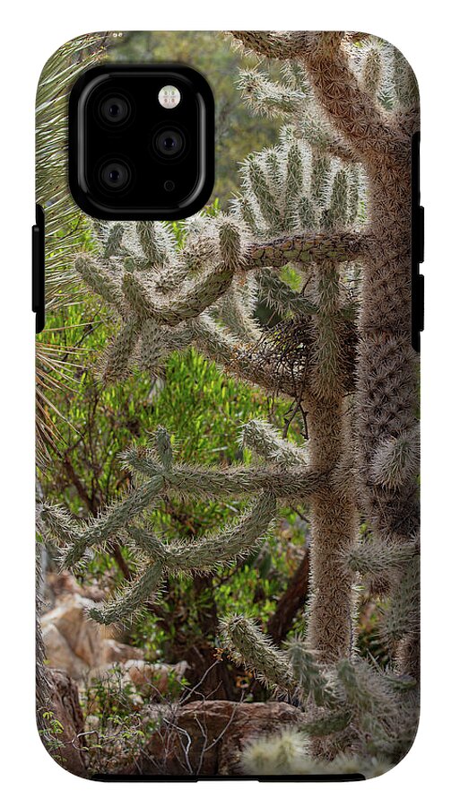 Cacti II - Phone Case