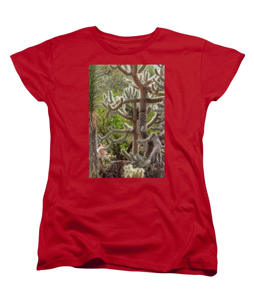 Cacti II - Women's T-Shirt (Standard Fit)