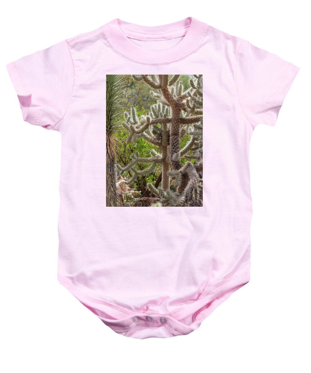 Cacti II - Baby Onesie