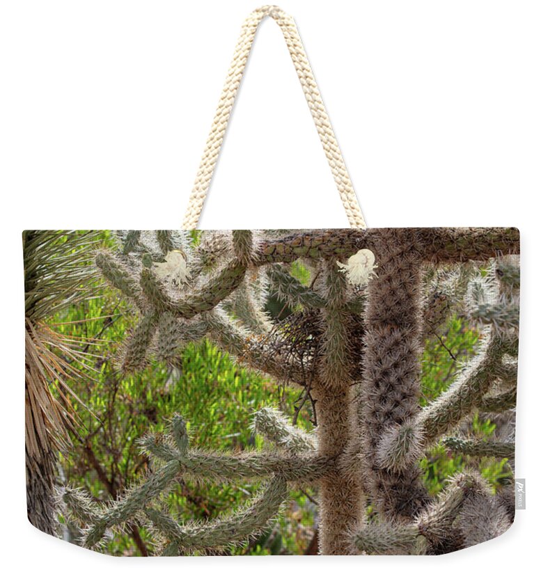 Cacti II - Weekender Tote Bag