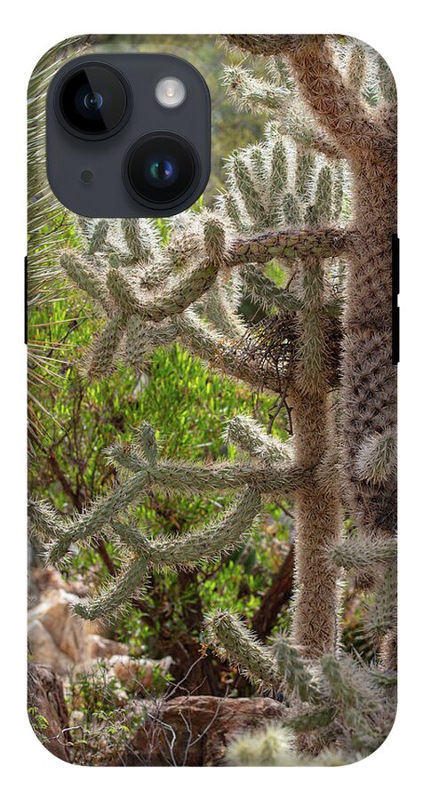 Cacti II - Phone Case