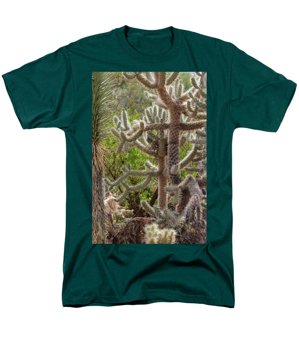 Cacti II - Men's T-Shirt  (Regular Fit)