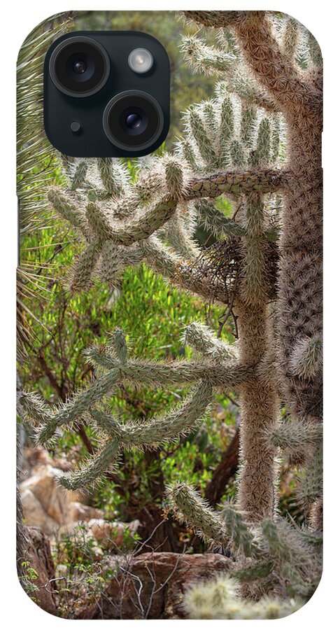 Cacti II - Phone Case