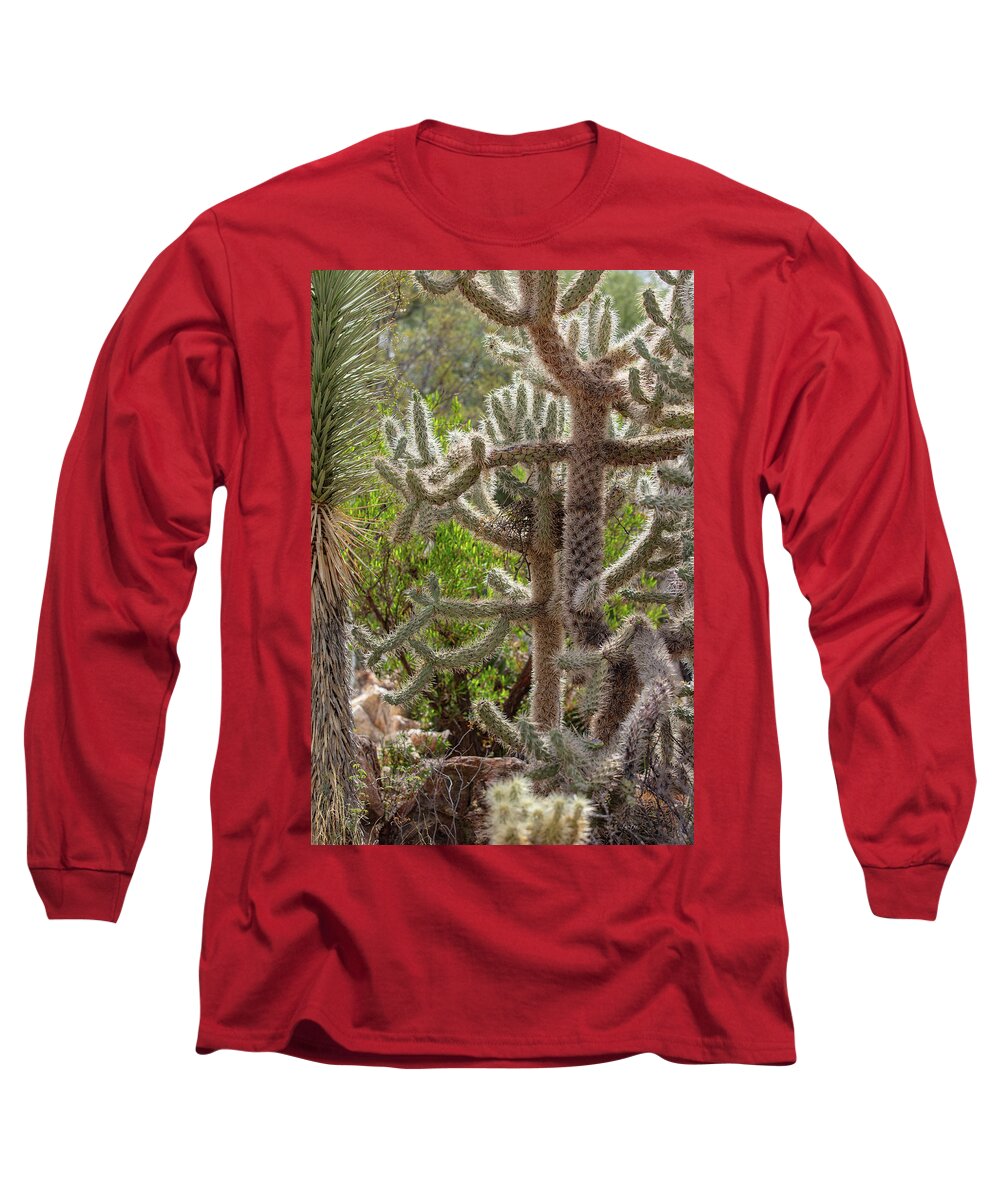 Cacti II - Long Sleeve T-Shirt