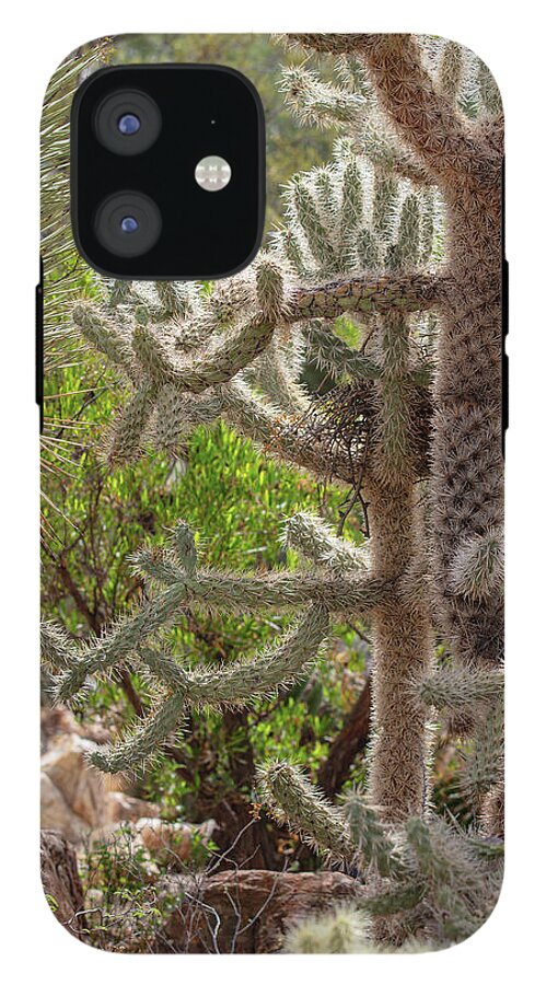 Cacti II - Phone Case