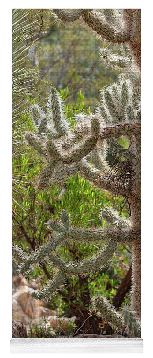 Cacti II - Yoga Mat