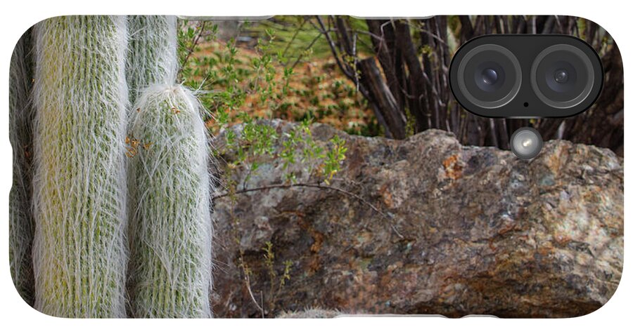 Cacti III Closeup - Phone Case