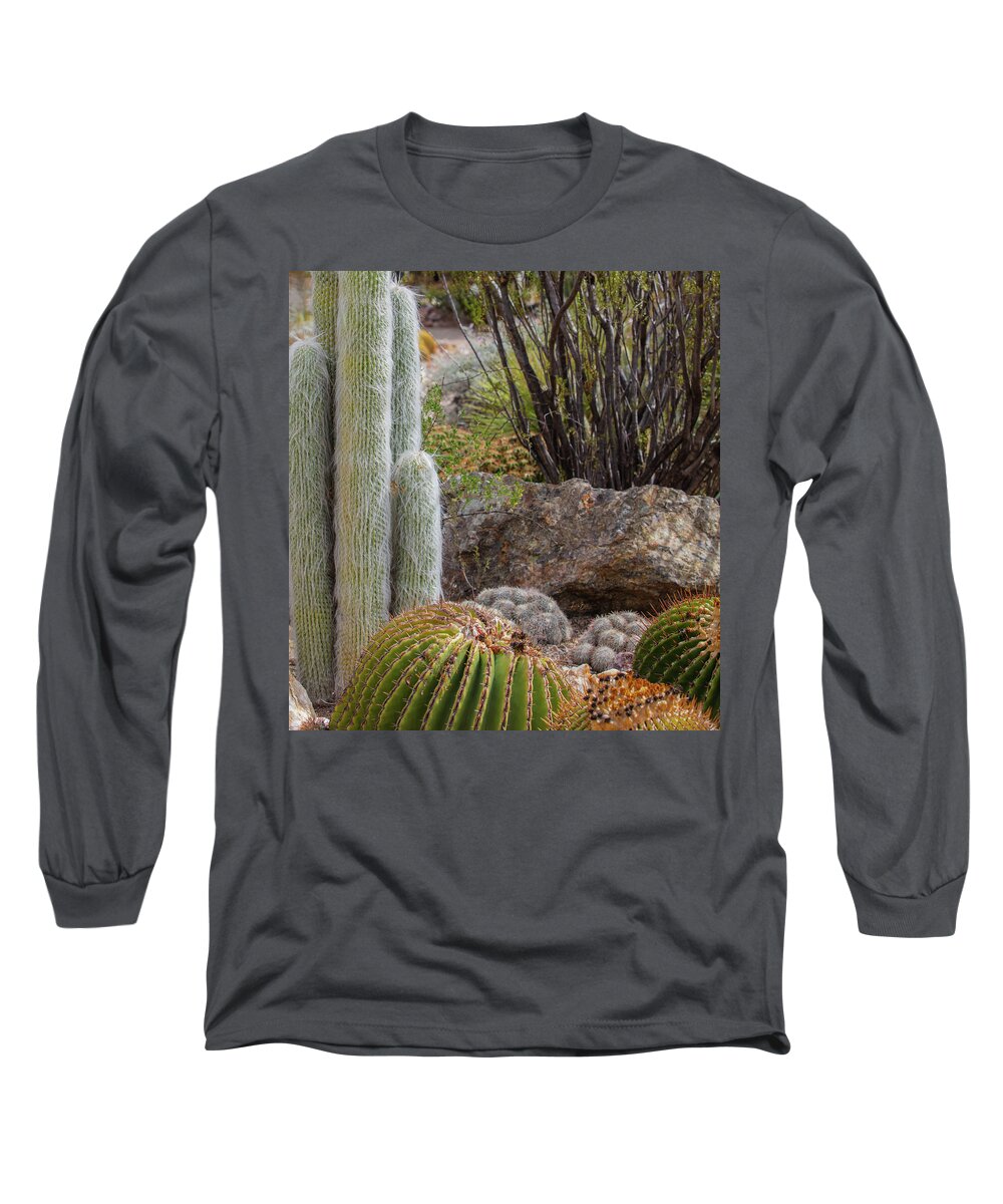 Cacti III Closeup - Long Sleeve T-Shirt