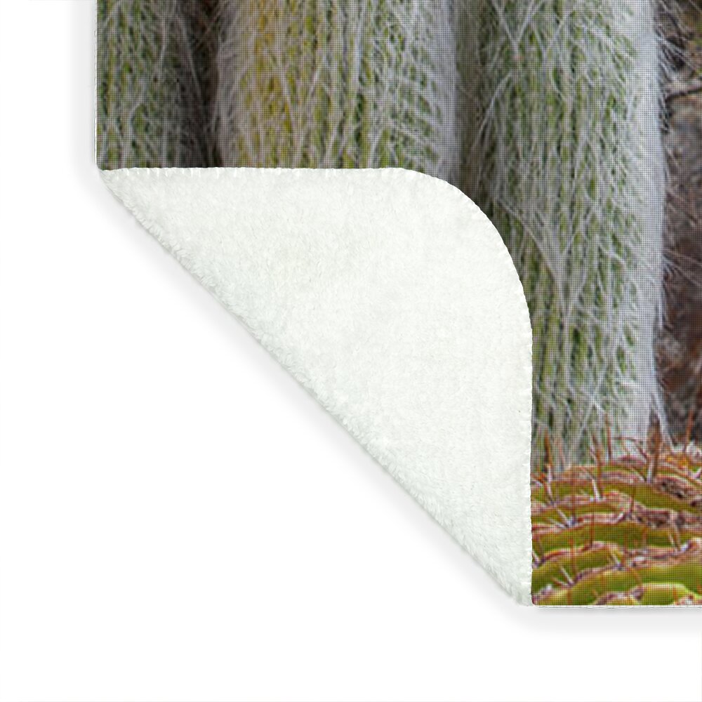 Cacti III Closeup - Blanket