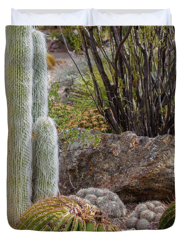 Cacti III Closeup - Duvet Cover