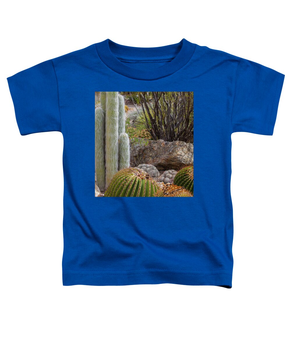 Cacti III Closeup - Toddler T-Shirt