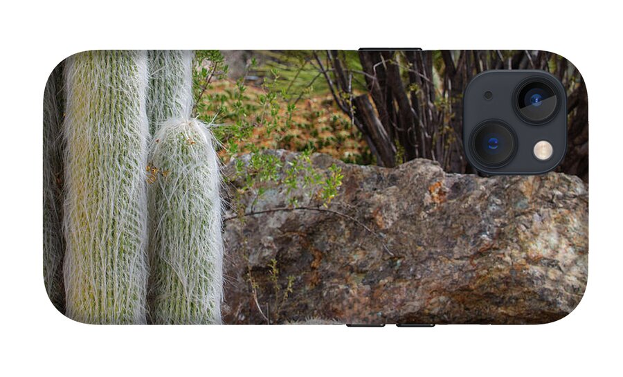 Cacti III Closeup - Phone Case