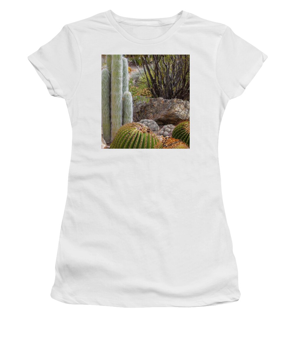 Cacti III Closeup - Women's T-Shirt