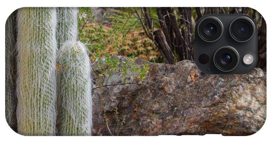 Cacti III Closeup - Phone Case