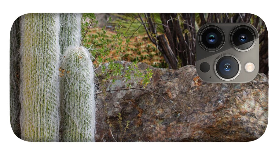 Cacti III Closeup - Phone Case