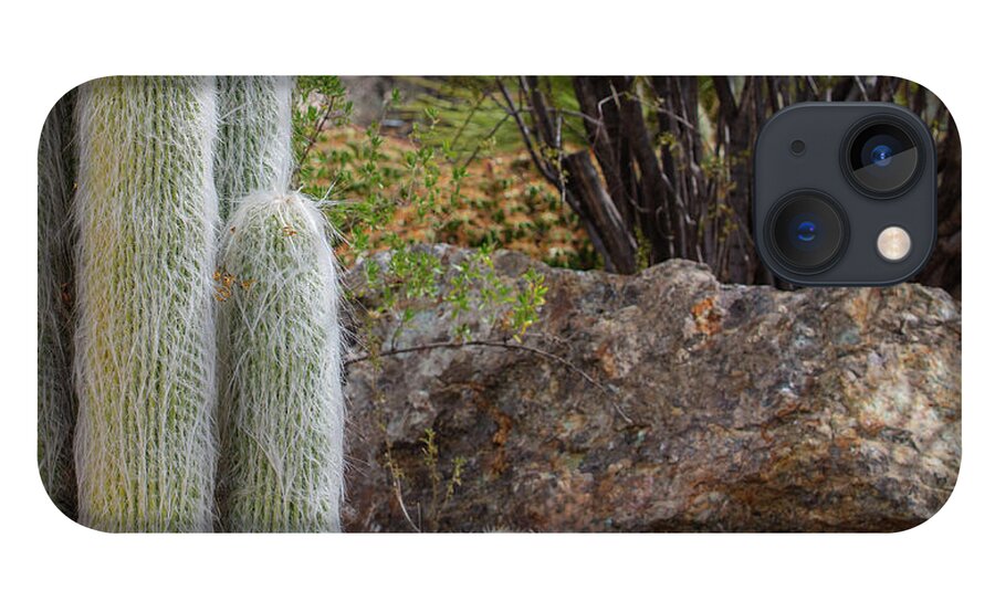 Cacti III Closeup - Phone Case