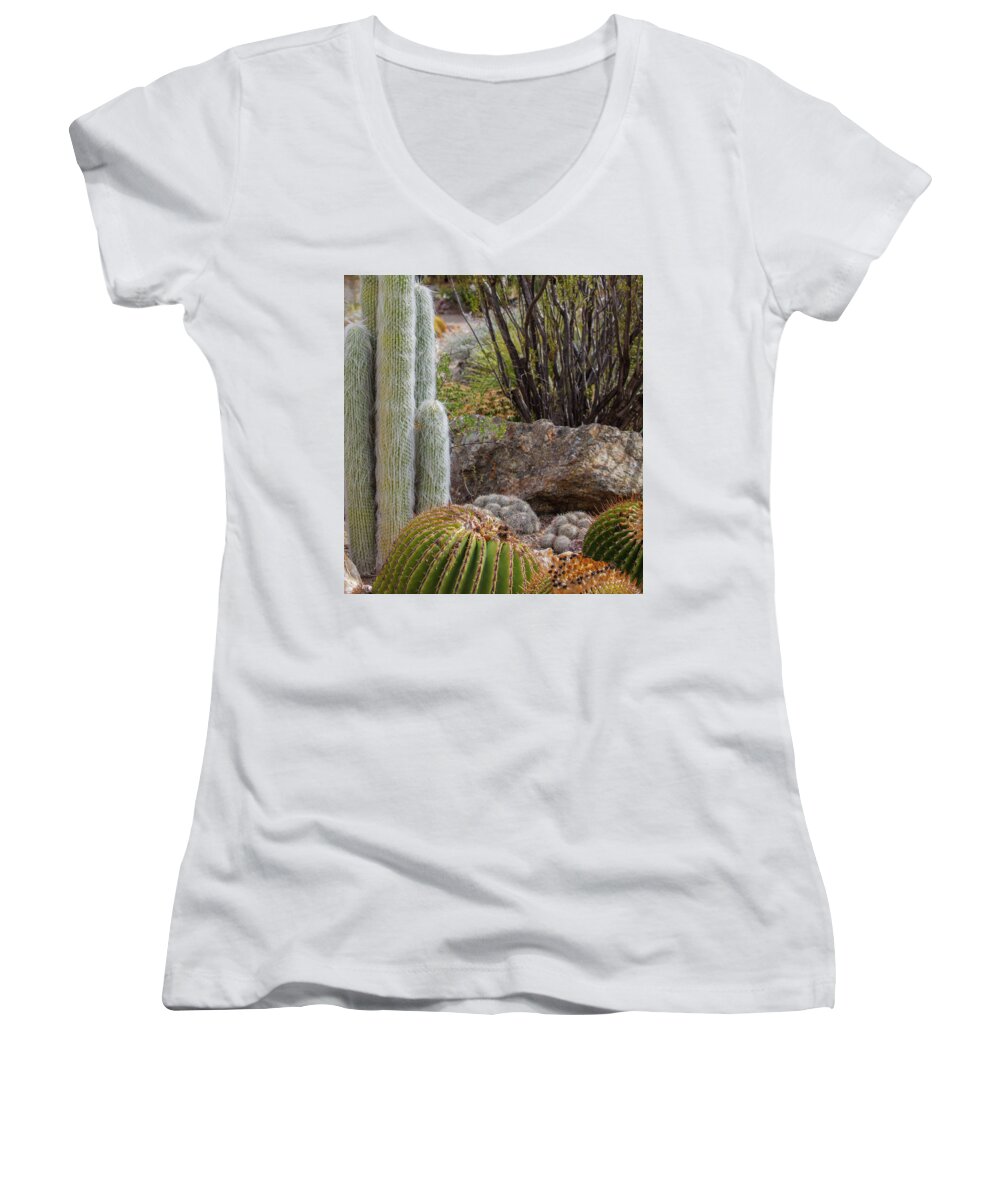 Cacti III Closeup - Women's V-Neck