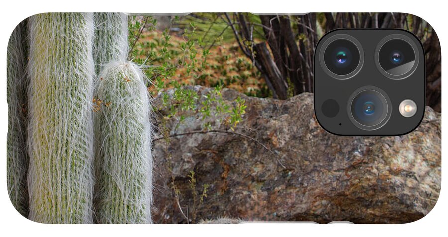 Cacti III Closeup - Phone Case