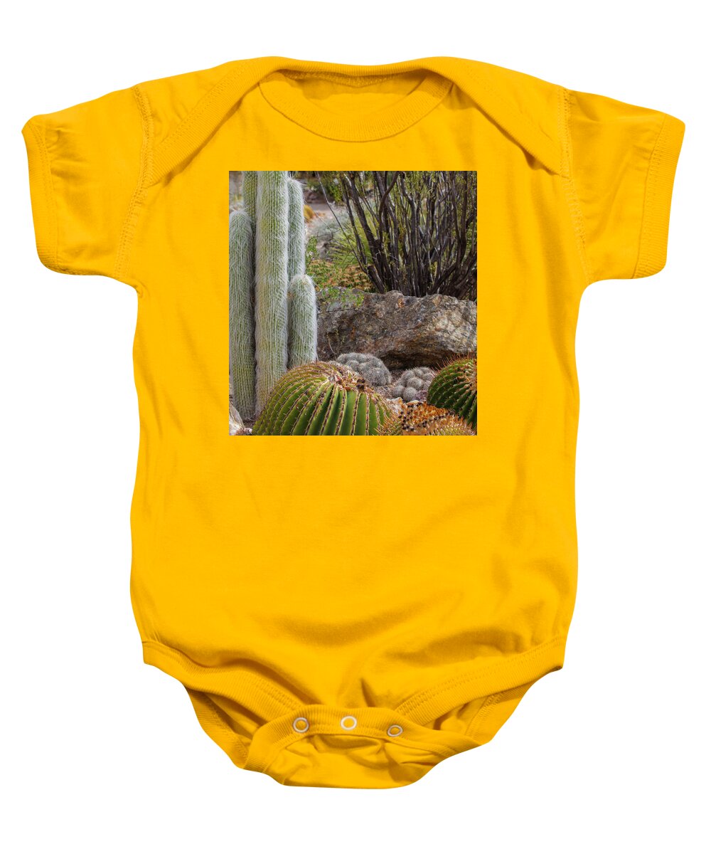Cacti III Closeup - Baby Onesie