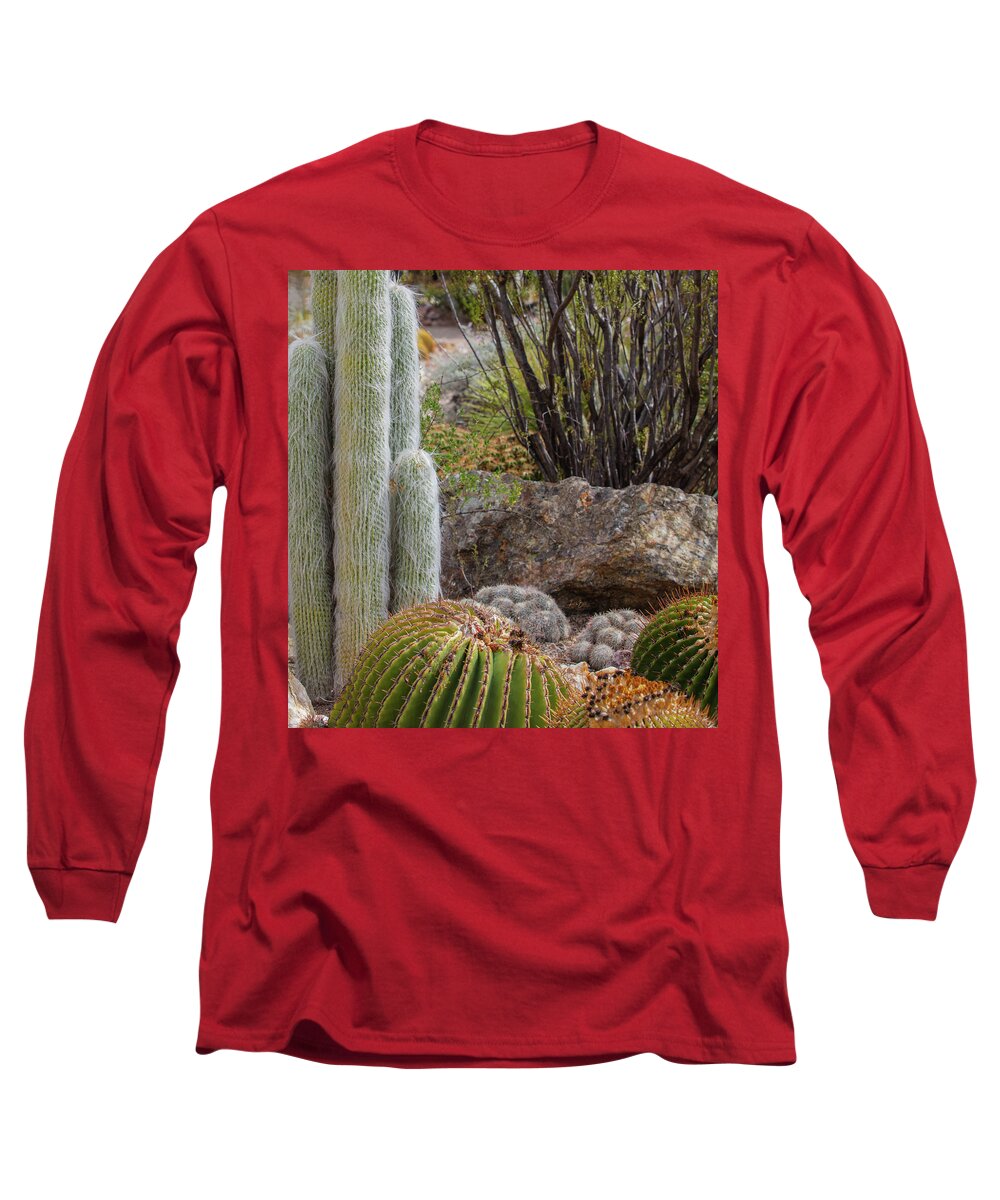 Cacti III Closeup - Long Sleeve T-Shirt