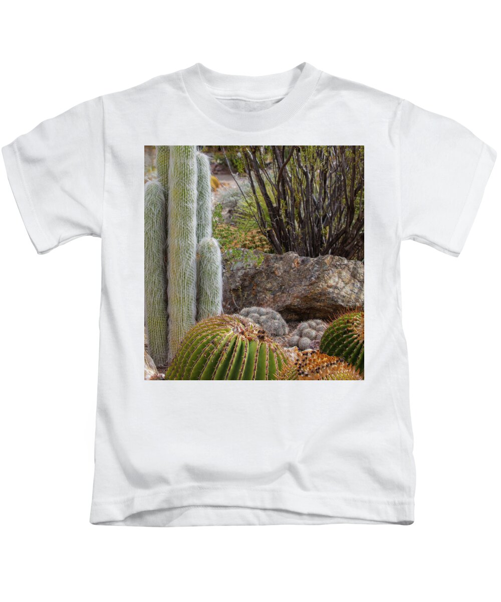 Cacti III Closeup - Kids T-Shirt