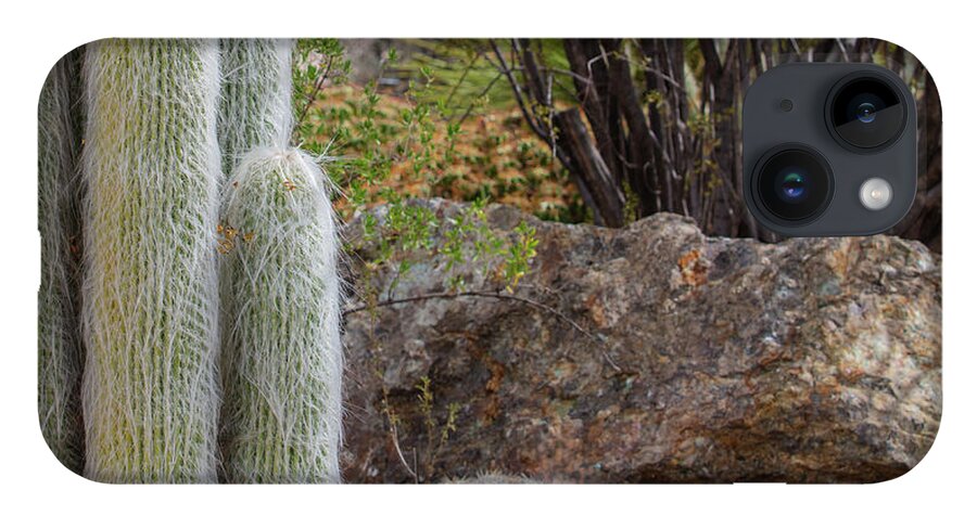Cacti III Closeup - Phone Case