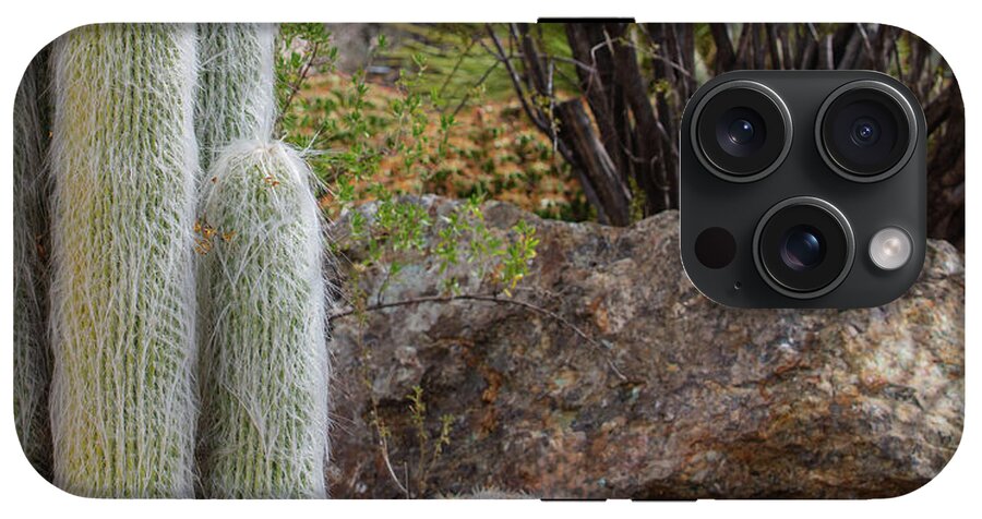 Cacti III Closeup - Phone Case