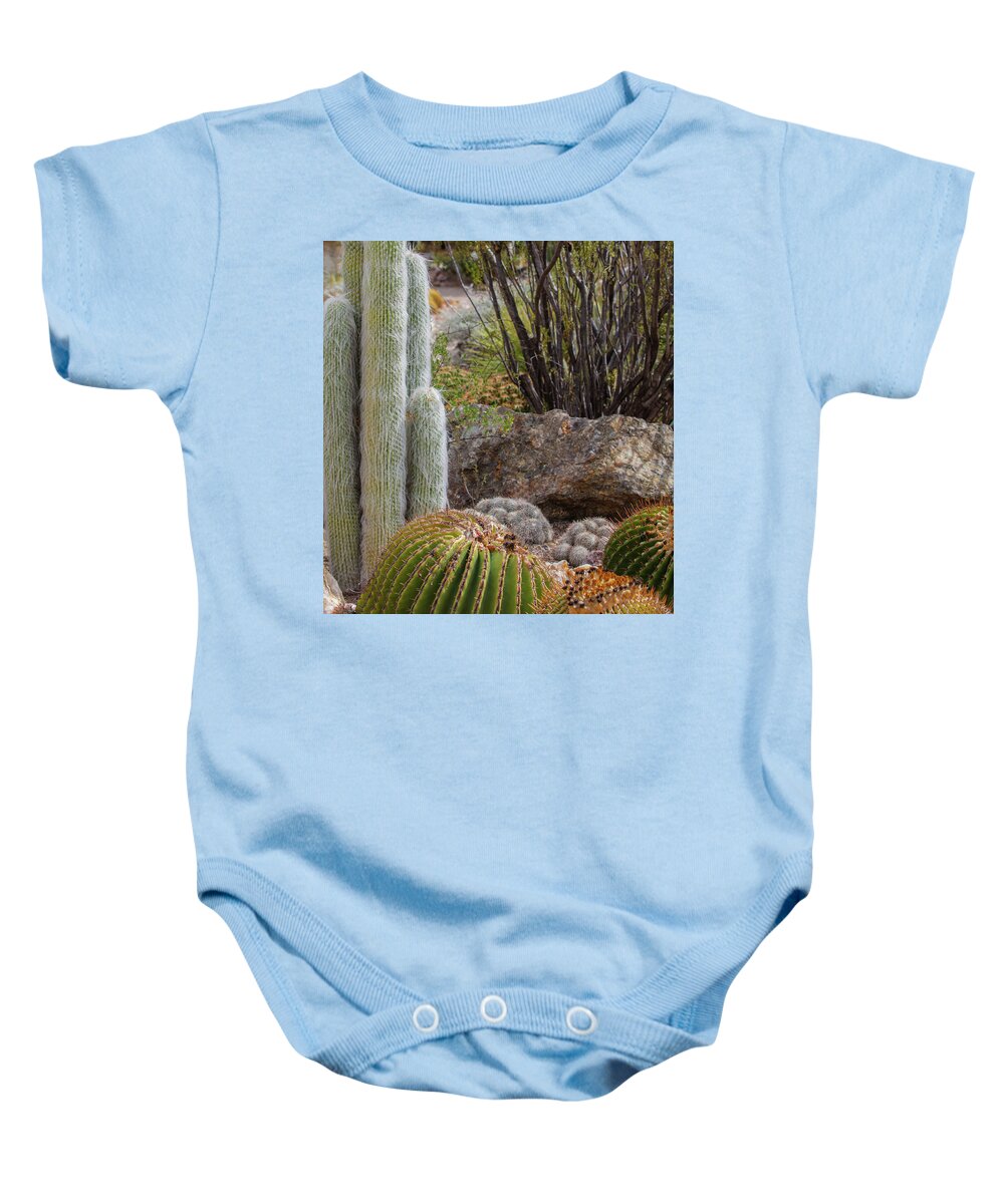 Cacti III Closeup - Baby Onesie