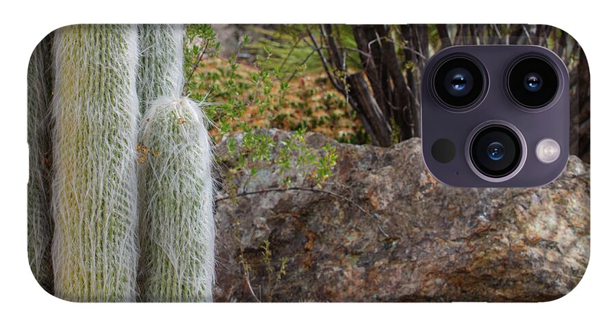Cacti III Closeup - Phone Case