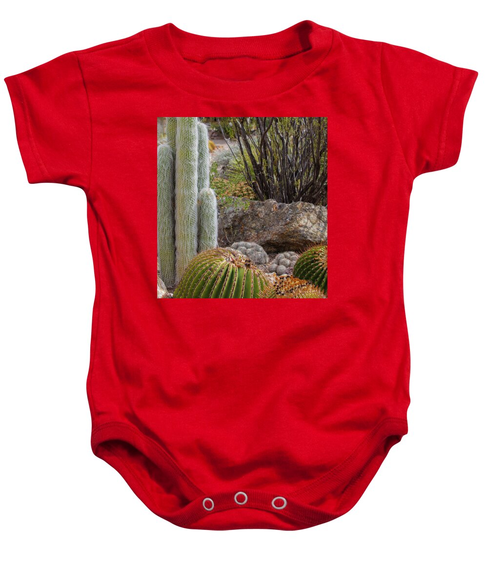 Cacti III Closeup - Baby Onesie
