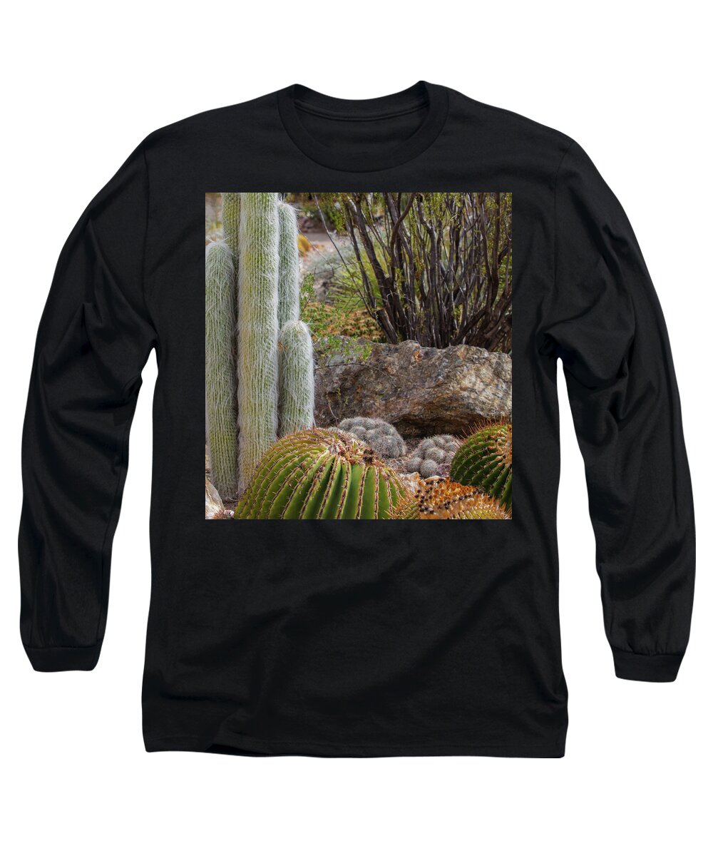 Cacti III Closeup - Long Sleeve T-Shirt