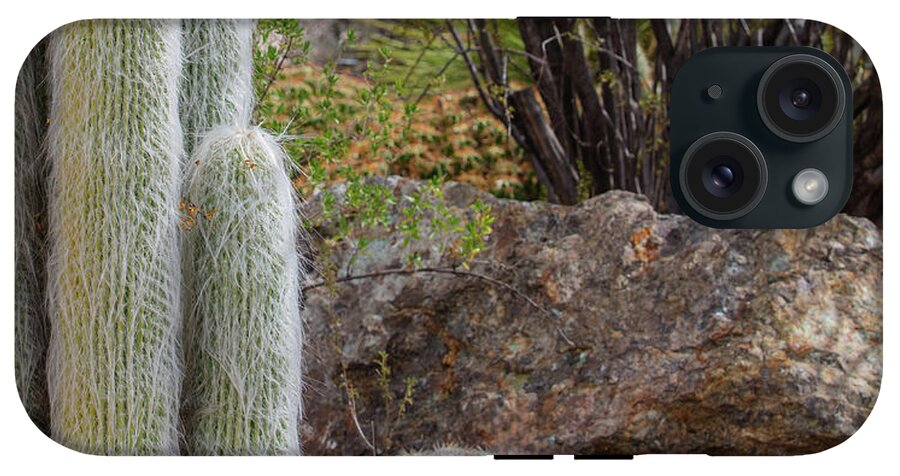 Cacti III Closeup - Phone Case