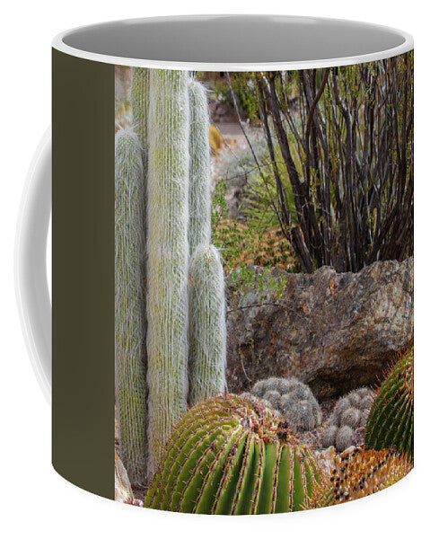 Cacti III Closeup - Mug